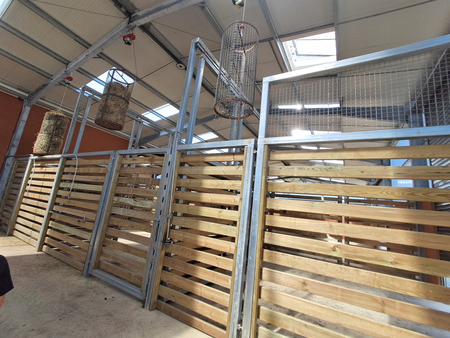 Interior building of the Rothschild Giraffes