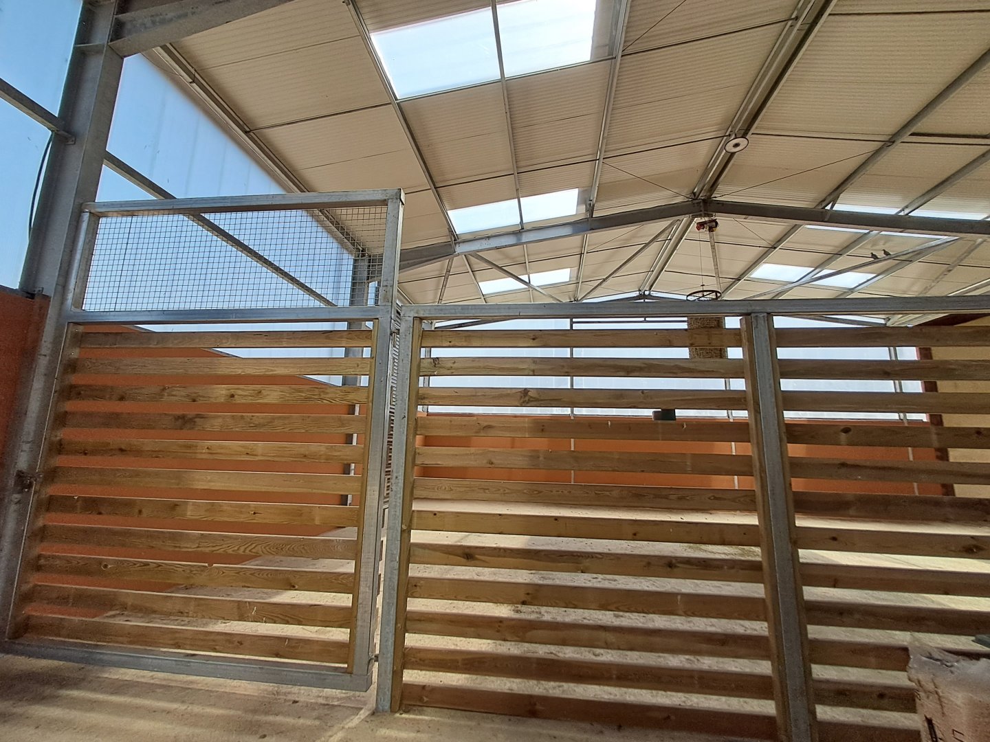 Interior building of the Rothschild Giraffes