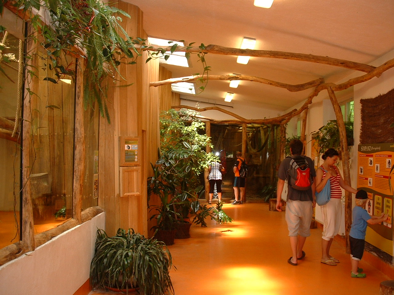 Interior Chimpanzee & Ring-tailed lemur House - Brno Zoo, July 2013
