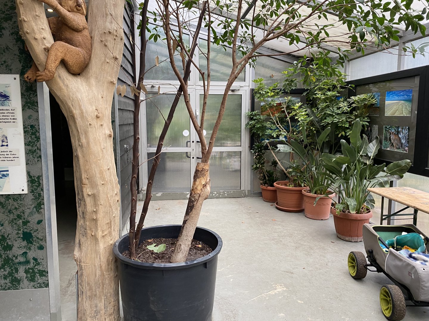 Interior decor - Koala House 011219