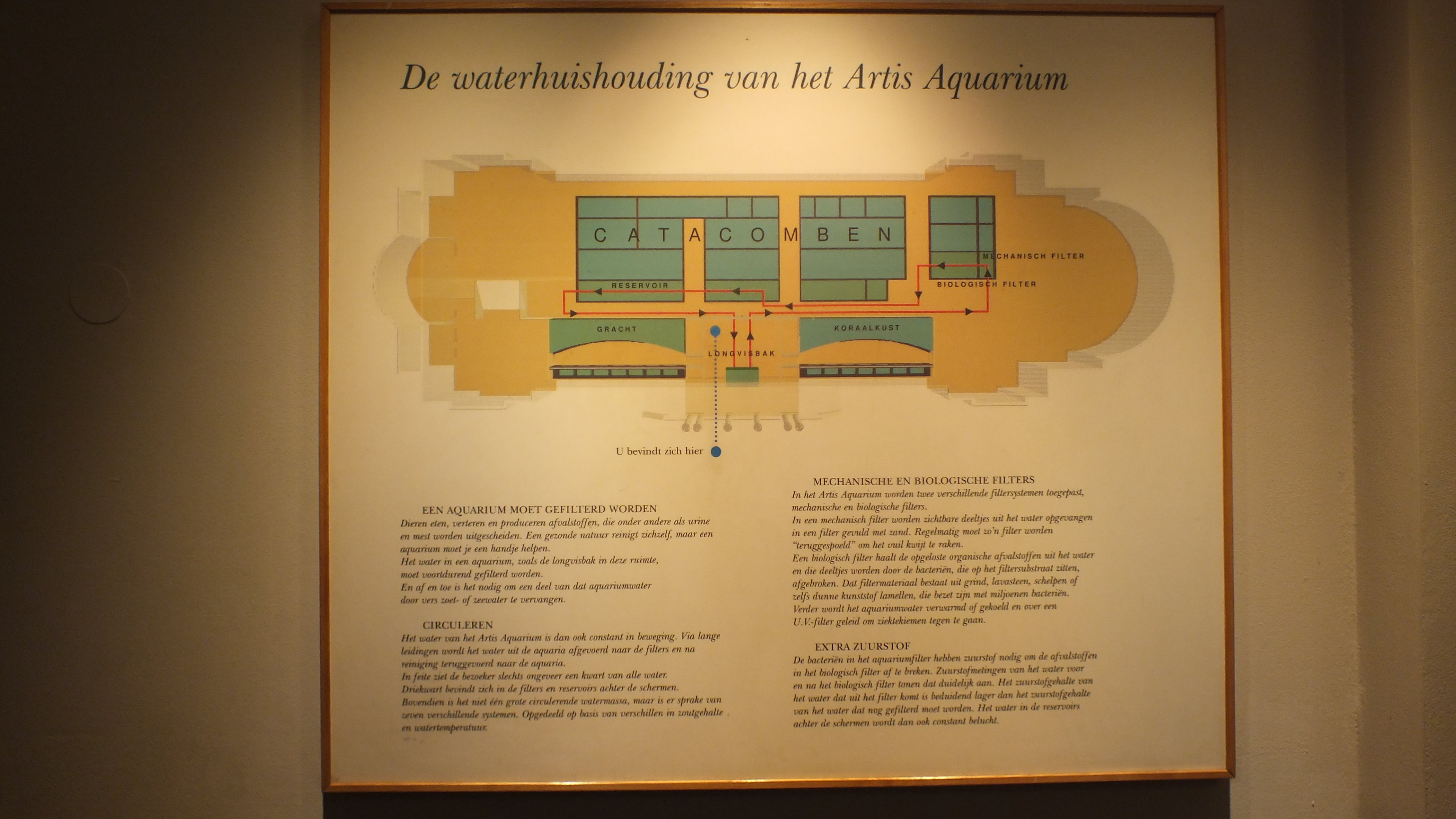 Interior diagram of Aquarium basement