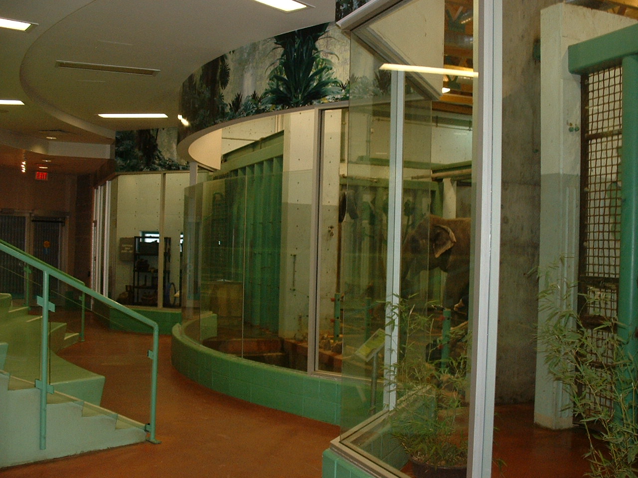 Interior Elephant House - Nov 2012