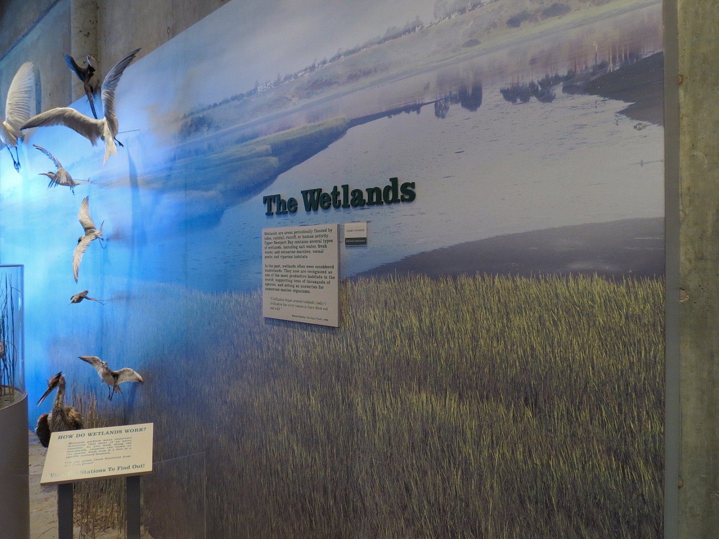 Interior - Exhibit Hall