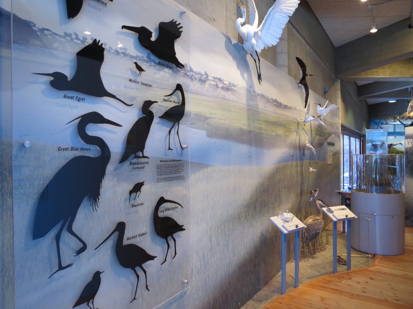 Interior - Exhibit Hall