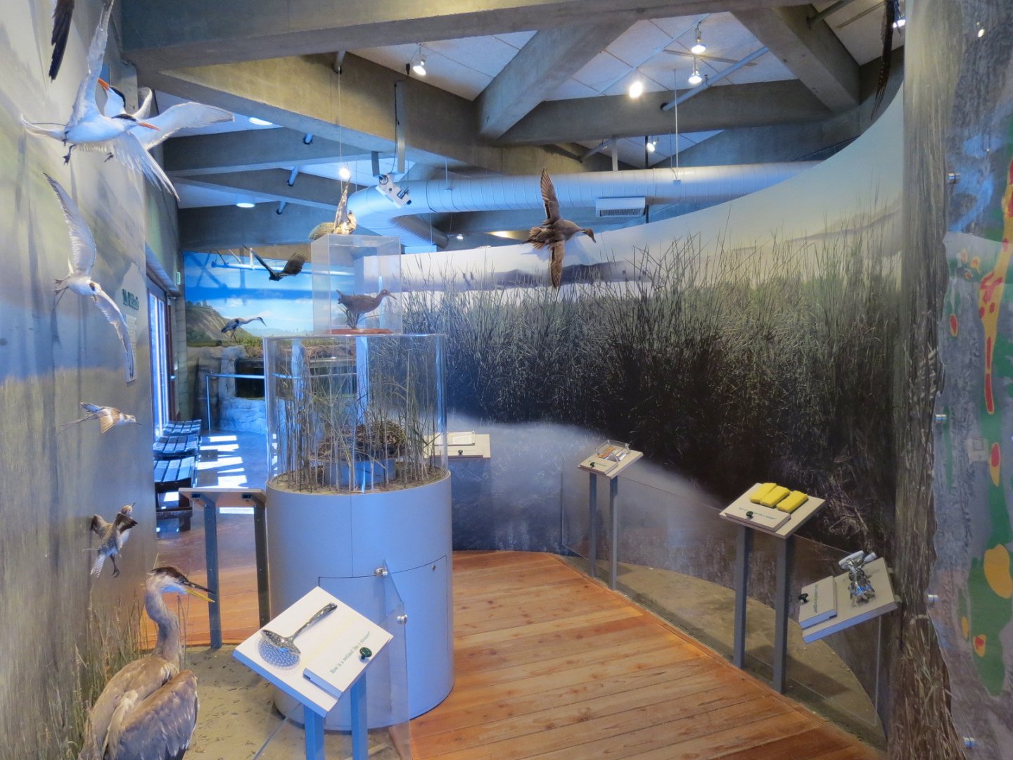 Interior - Exhibit Hall