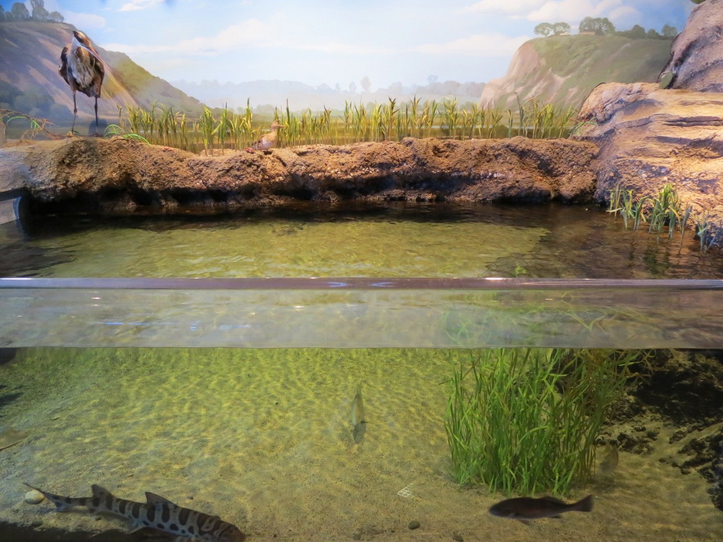 Interior - Exhibit Hall