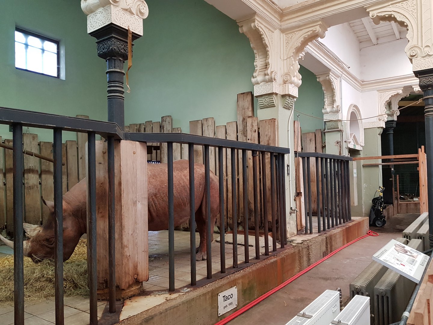 Interior housing for a black rhino