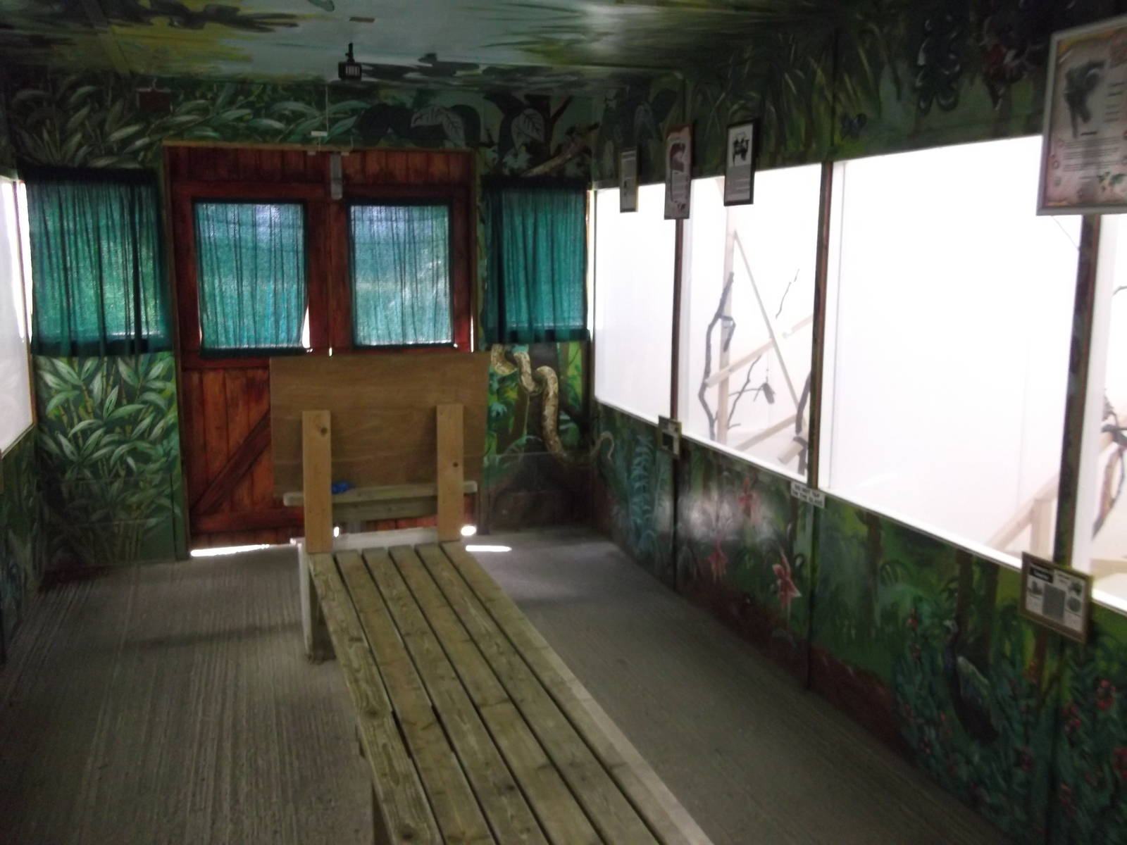 Interior Marmoset and Tamarin House 12/4/2014