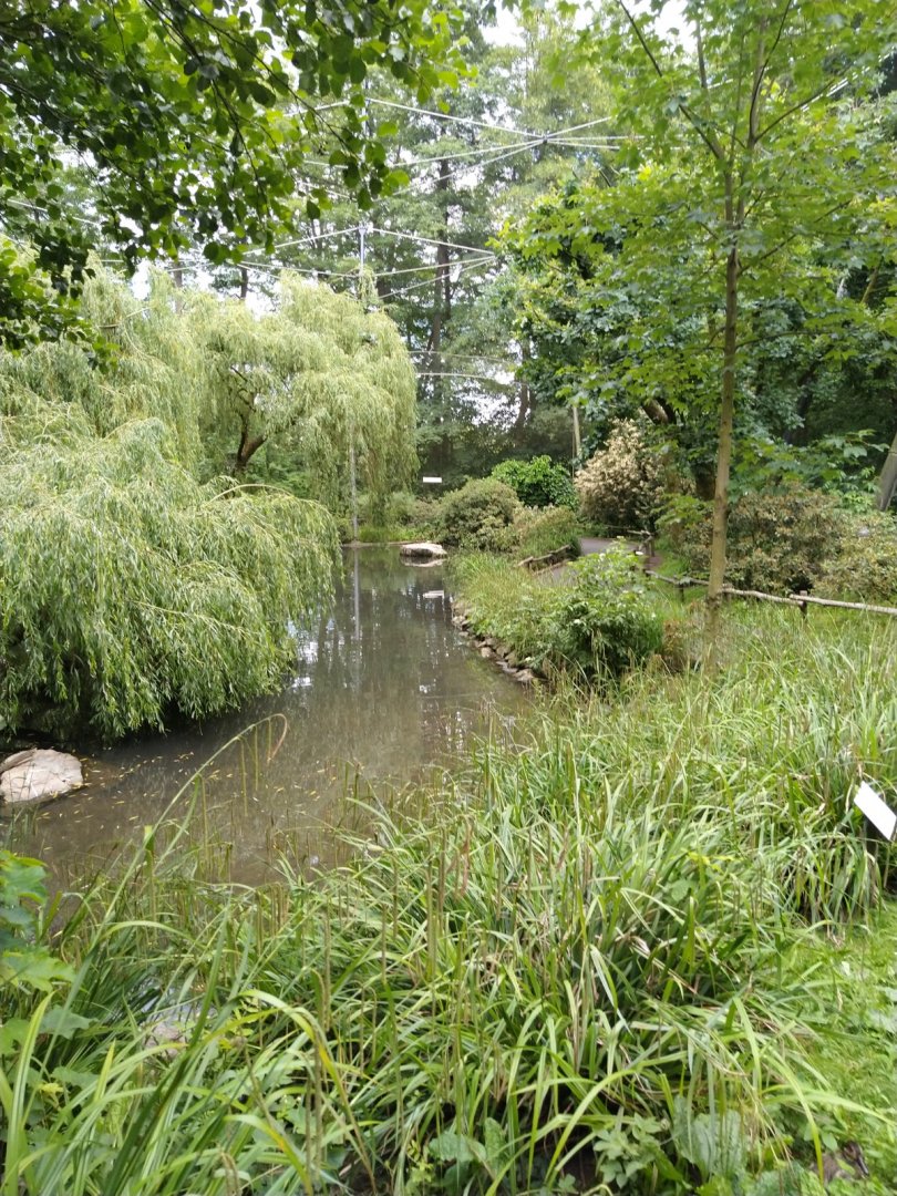 Interior marshland aviary