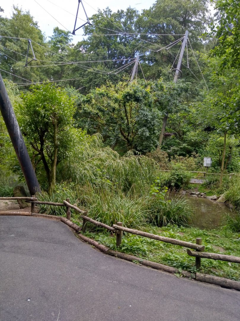 Interior marshland aviary