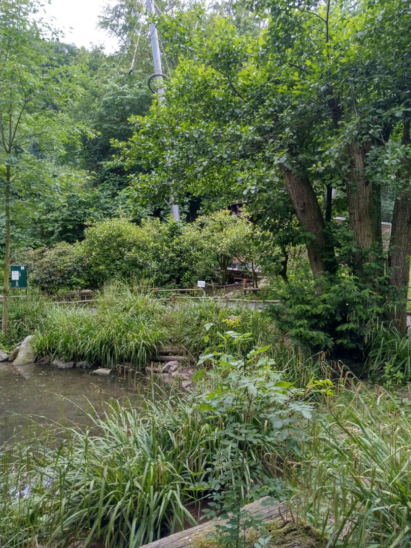 Interior marsland aviary