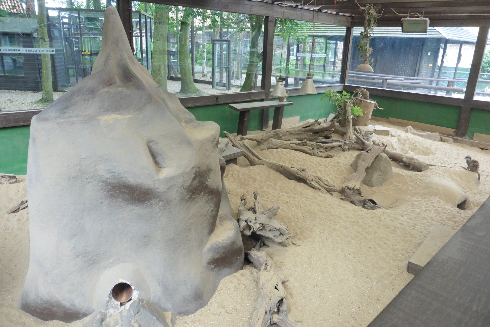 Interior Meerkat enclosure