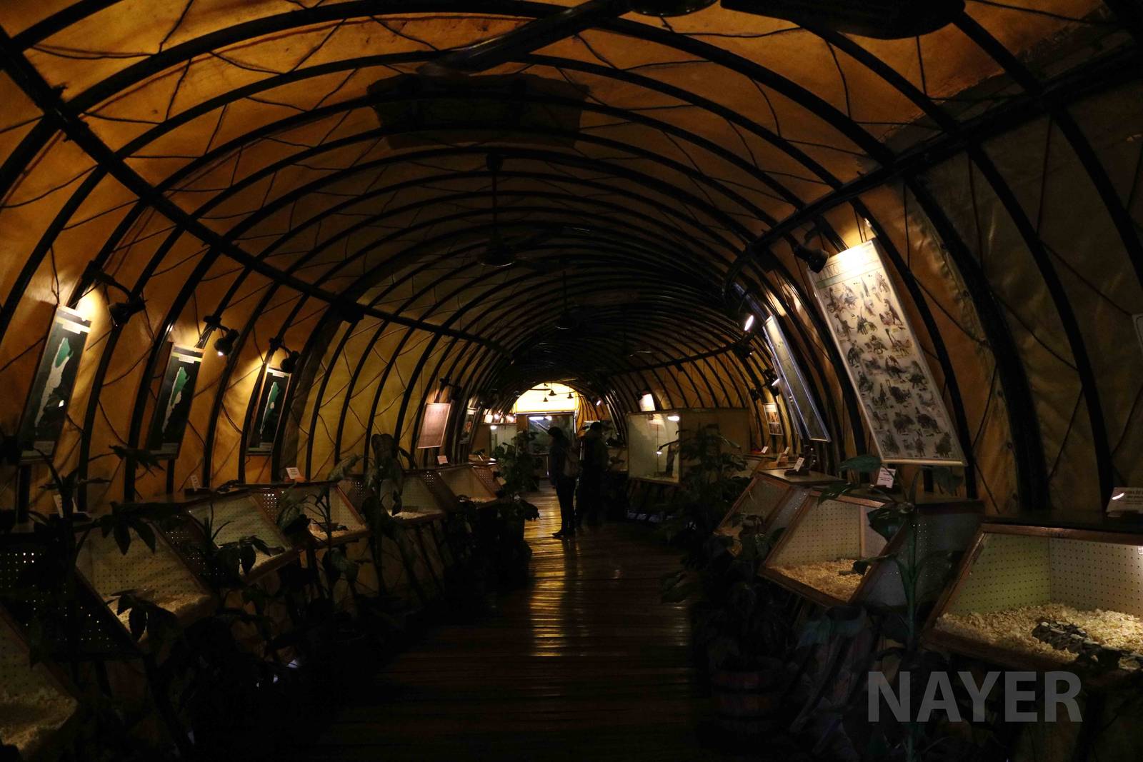 Interior -  Mendoza Serpentarium  ('Centro Anaconda'), April 2016