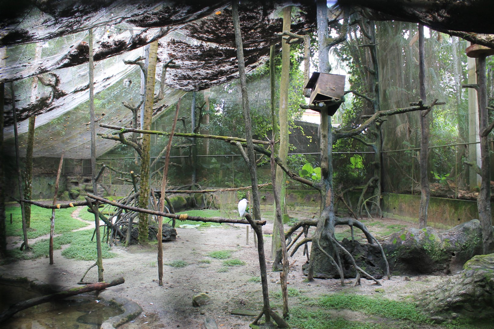 interior of a walk-through aviary
