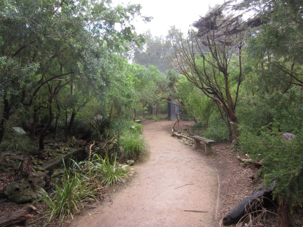 Interior of a walkthrough aviary