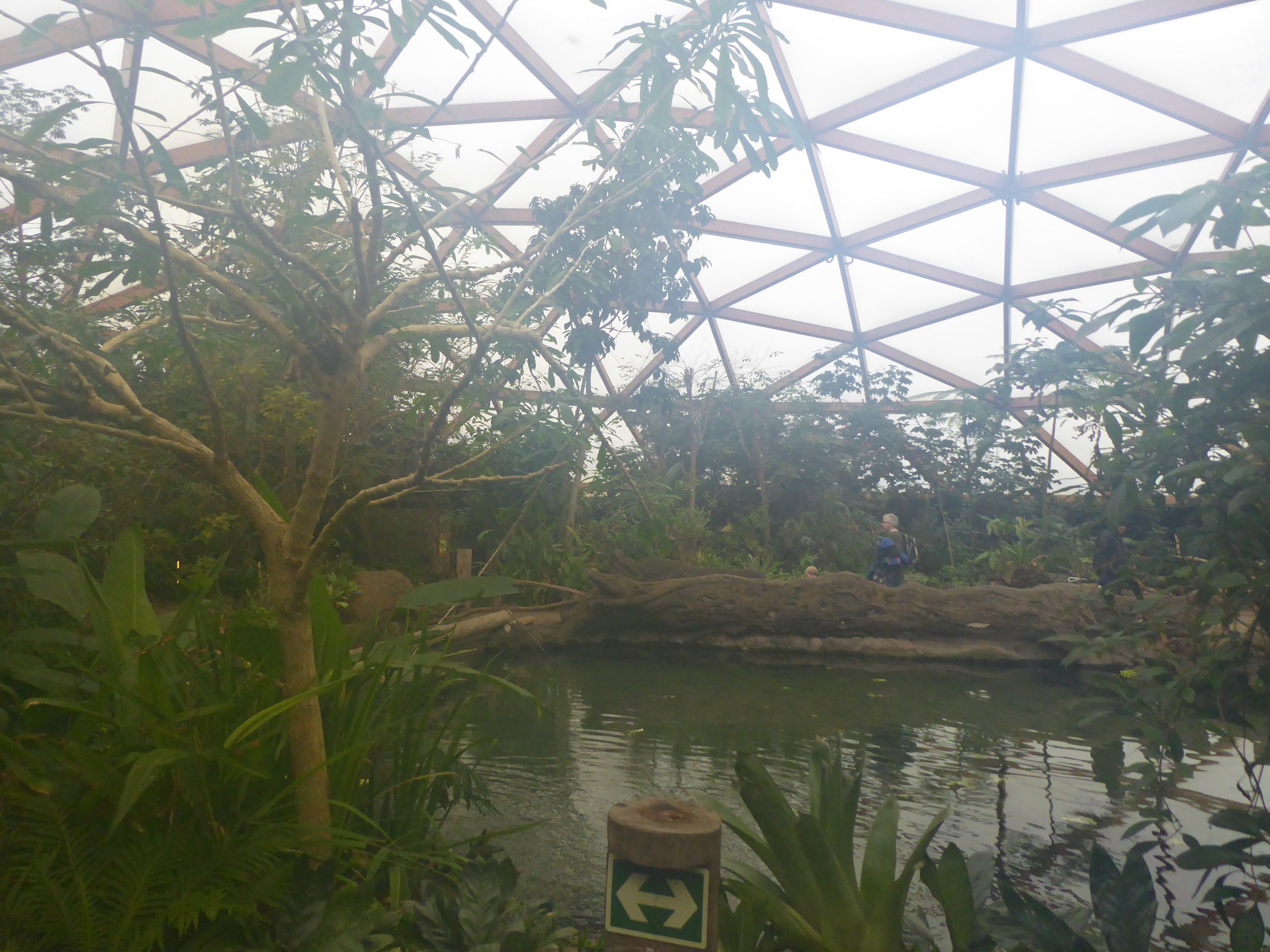 Interior of Amazonica