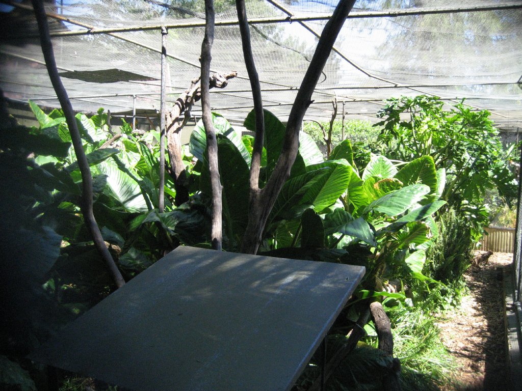 Interior of an Aviary