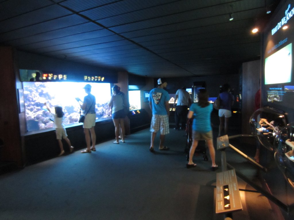 Interior of Aquarium