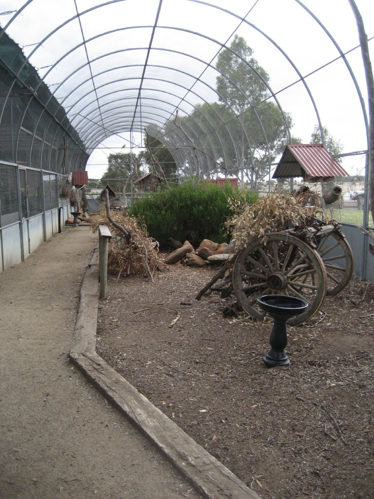 Interior of Arid Walkthrough Aviary