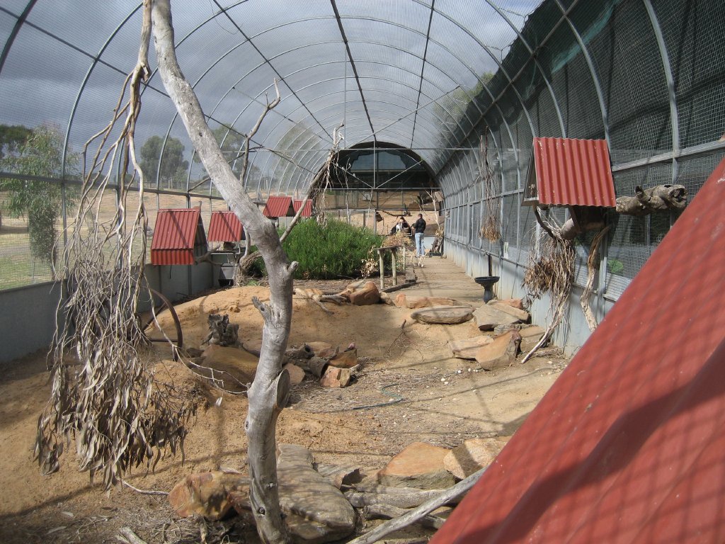 Interior of Arid Walkthrough Aviary