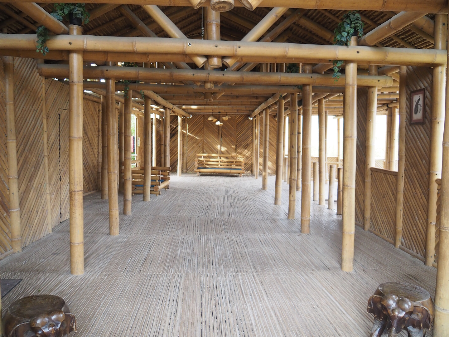 Interior of Asian elephant viewing lodge, 2023-03-28