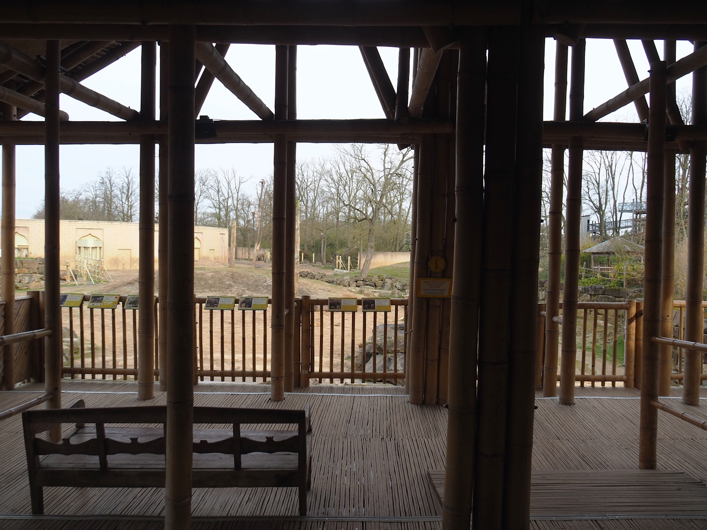 Interior of Asian elephant viewing lodge, 2023-03-28