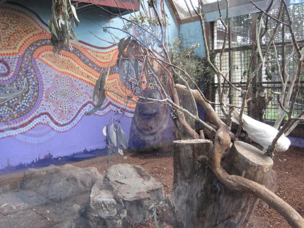 Interior of Australian Aviary