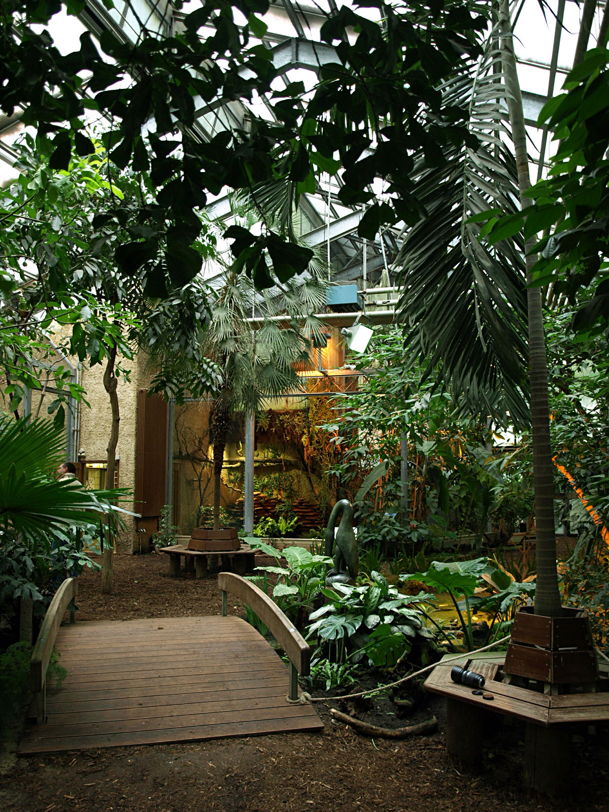 Interior of Bird house