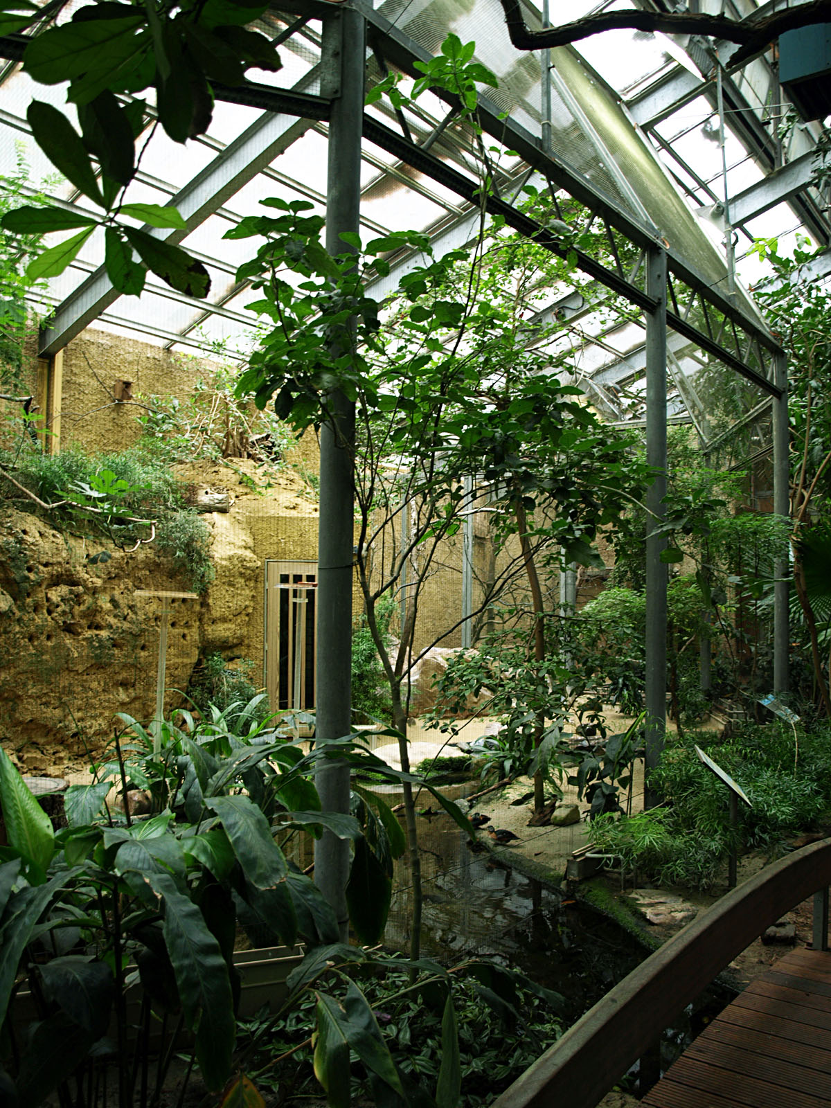 Interior of Bird house