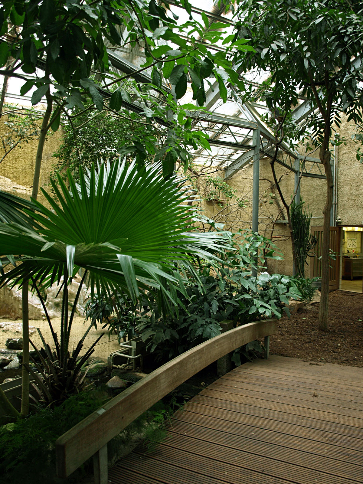 Interior of Bird house