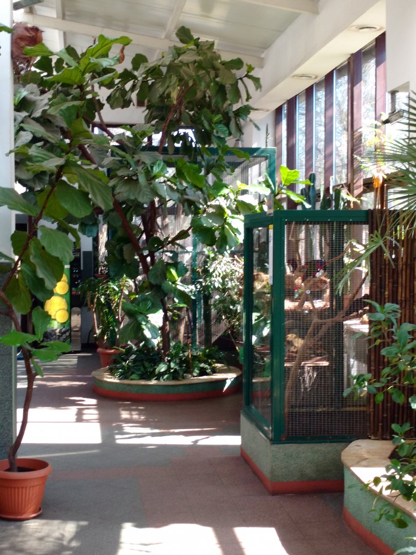 Interior of bird house