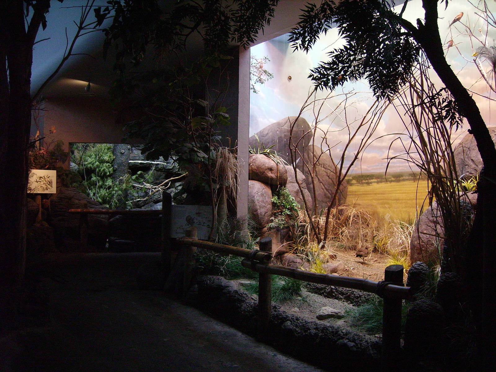 Interior of Bird House