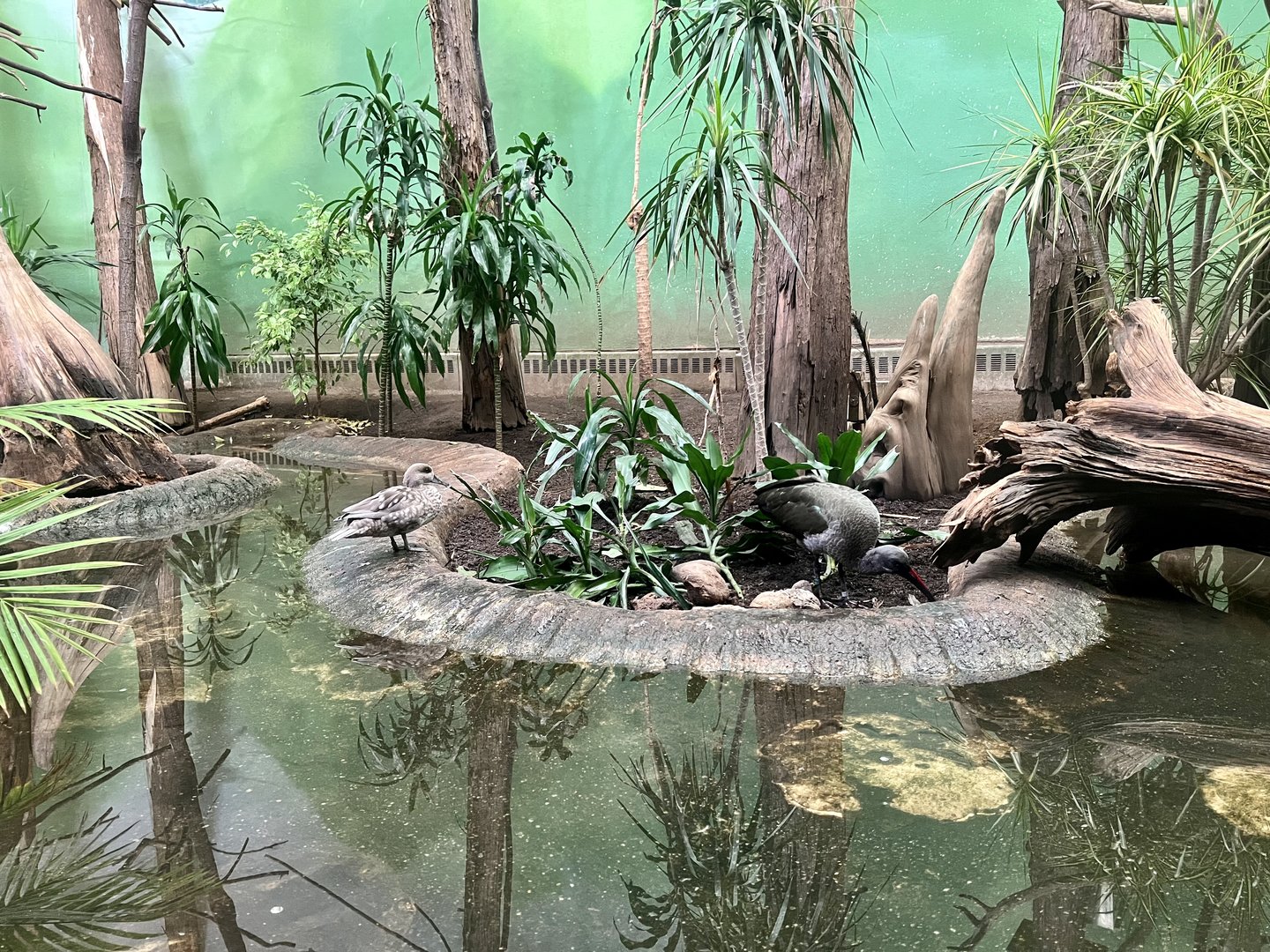 Interior of Bird House