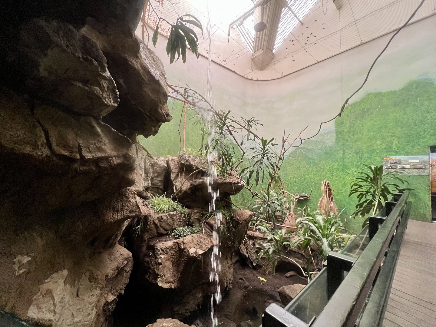 Interior of Bird House