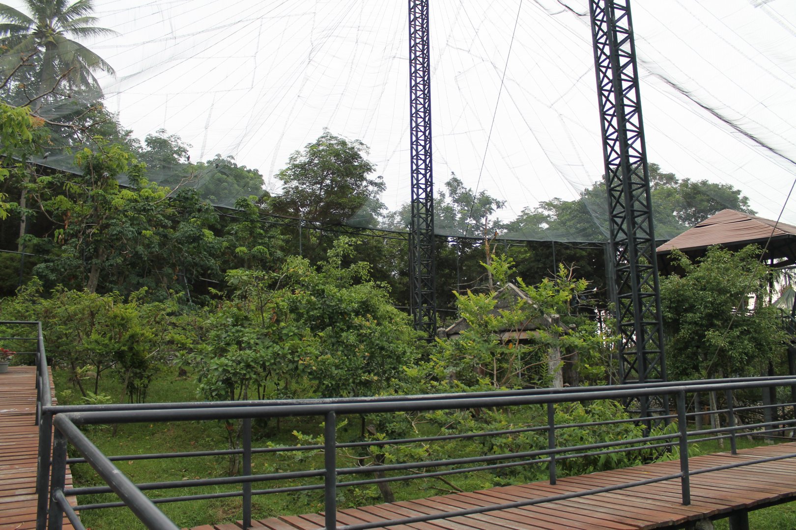 interior of Bird's Land walk-through aviary