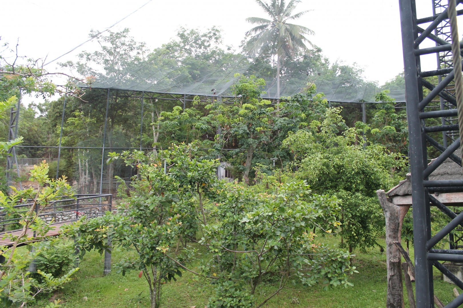 interior of Bird's Land walk-through aviary