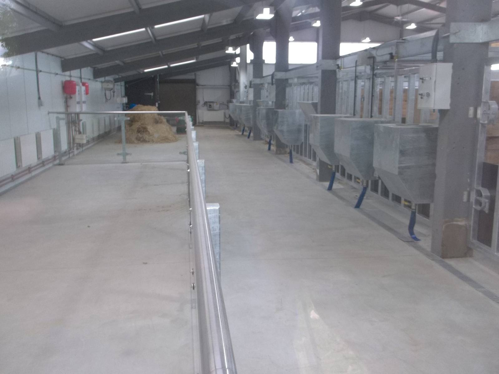 Interior of Black Rhinoceros House, 8th October 2015