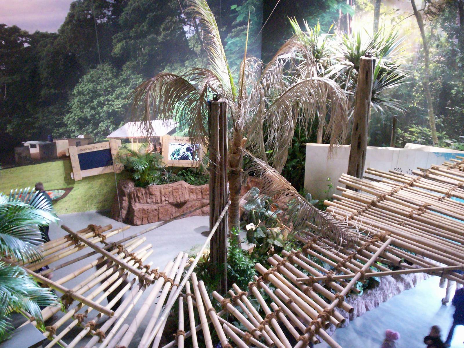 Interior of Budongo exhibition space