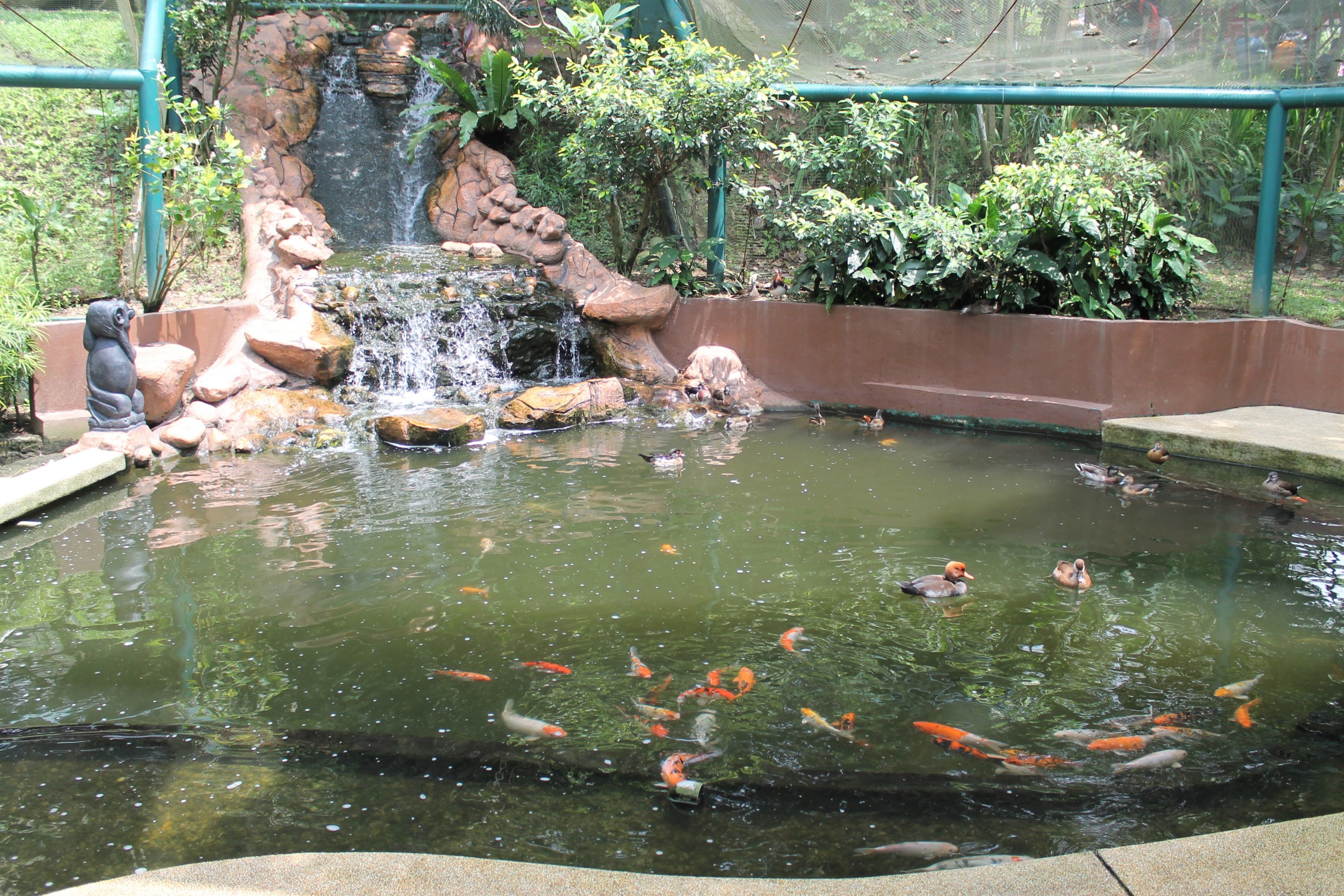 Interior of Bulbul Land walk-through aviary