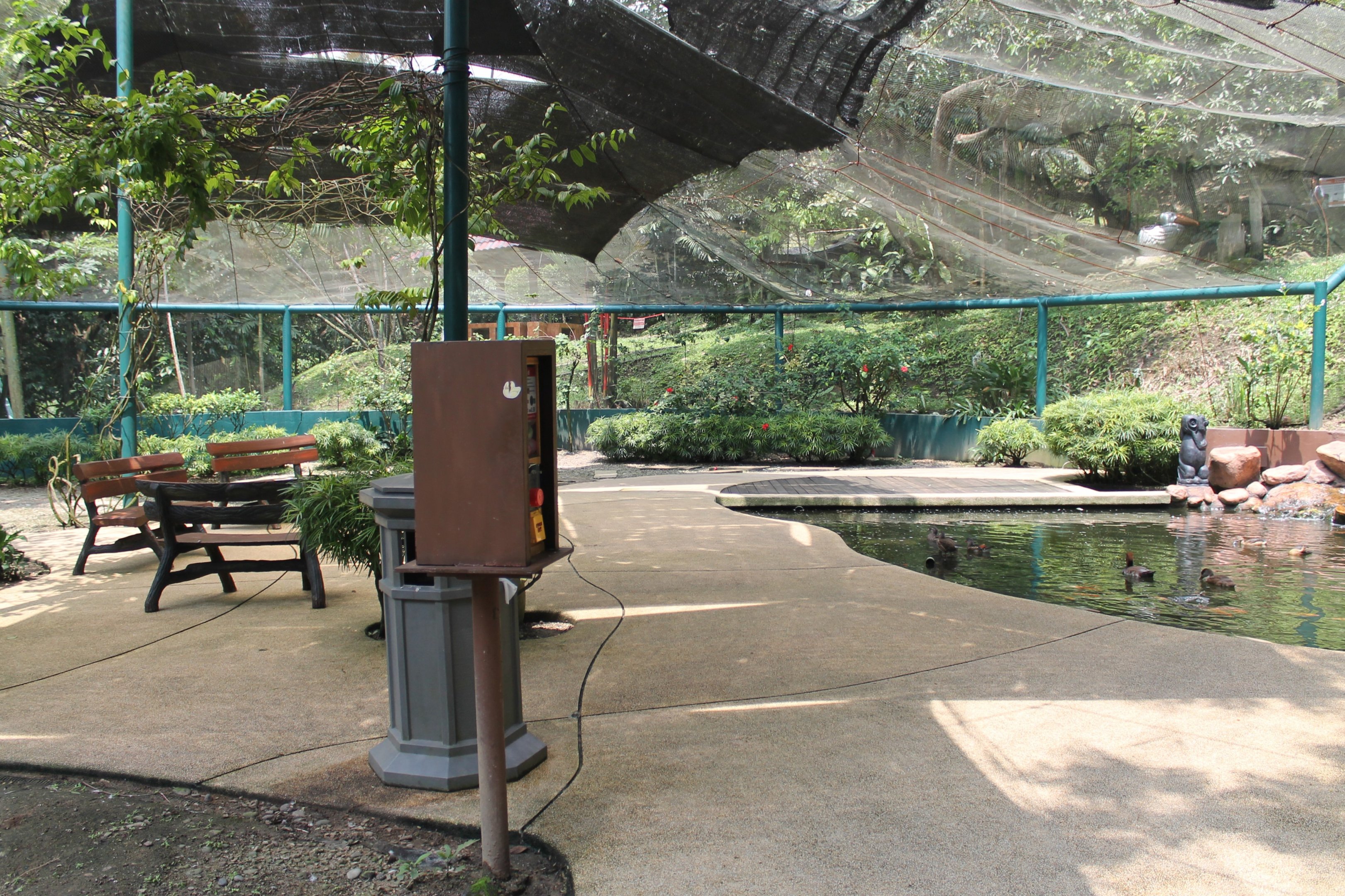 Interior of Bulbul Land walk-through aviary