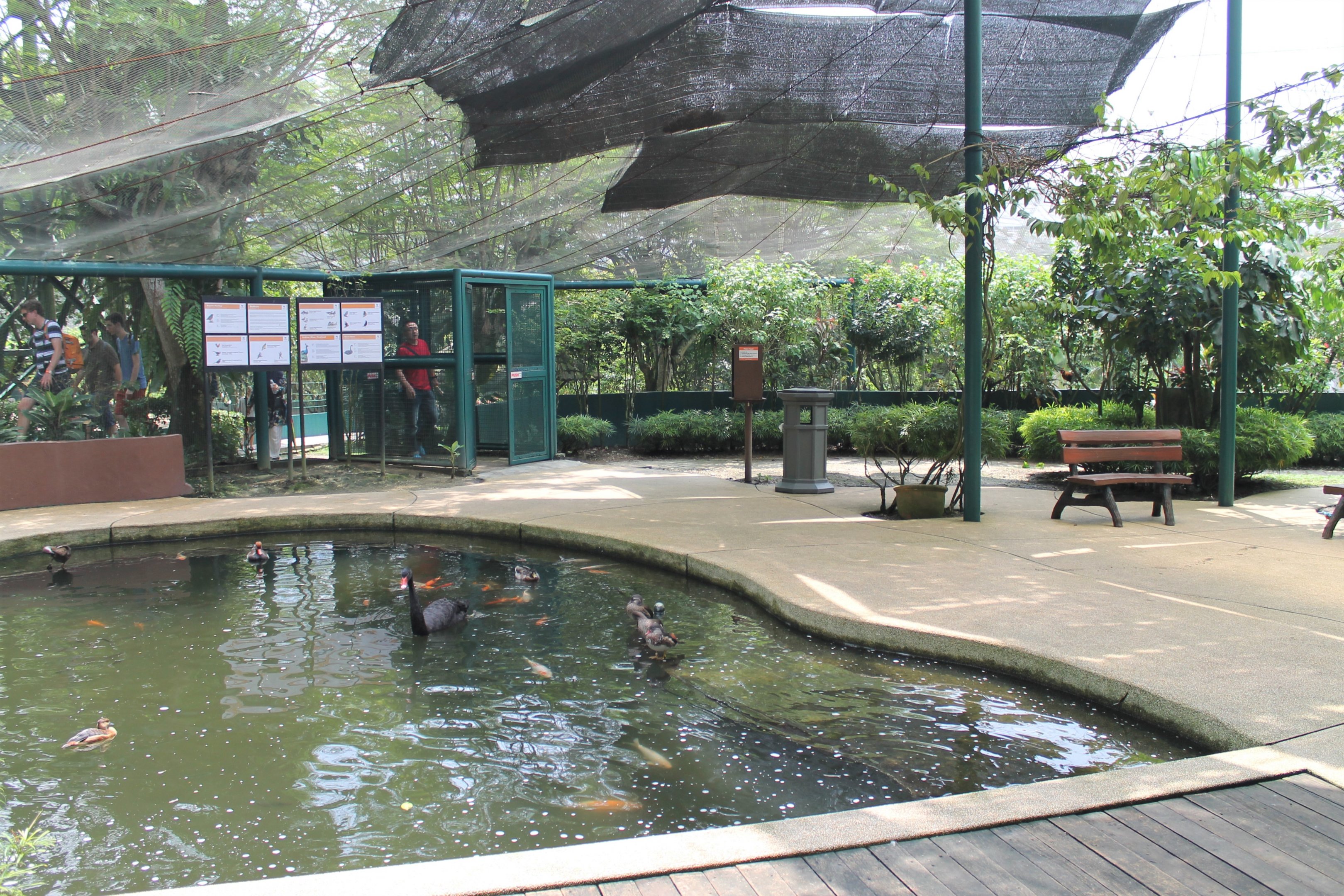 Interior of Bulbul Land walk-through aviary