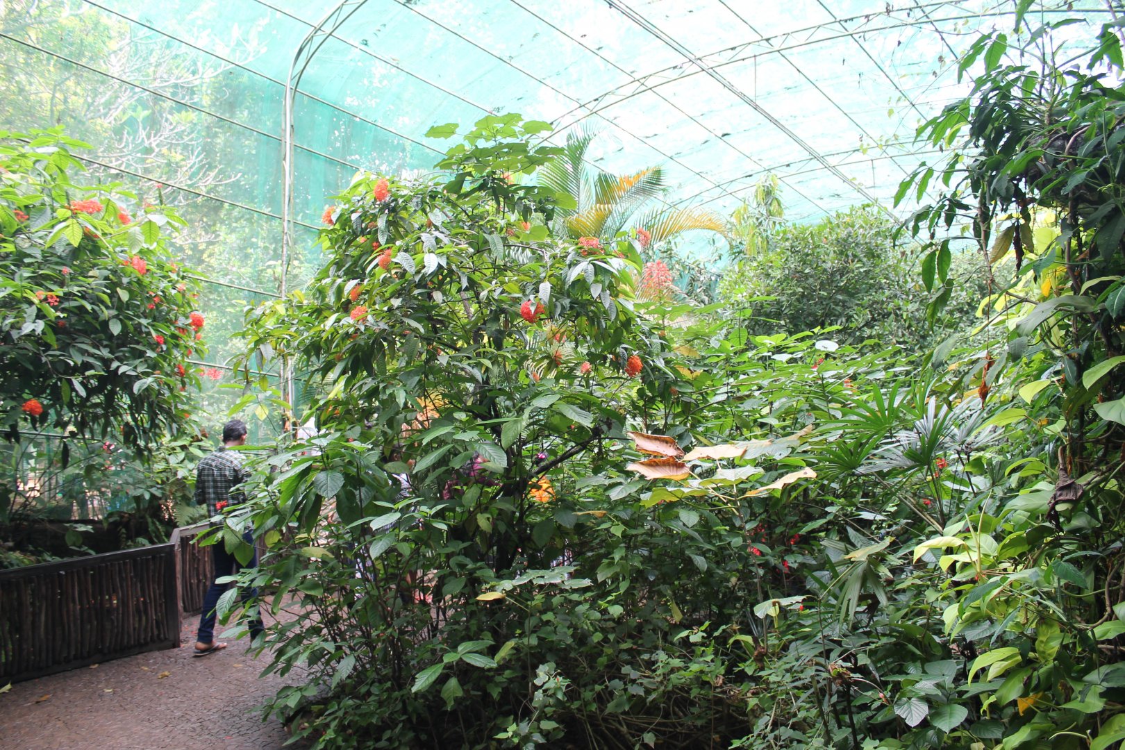 interior of Butterfly House