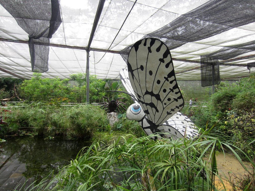 Interior of Butterfly House