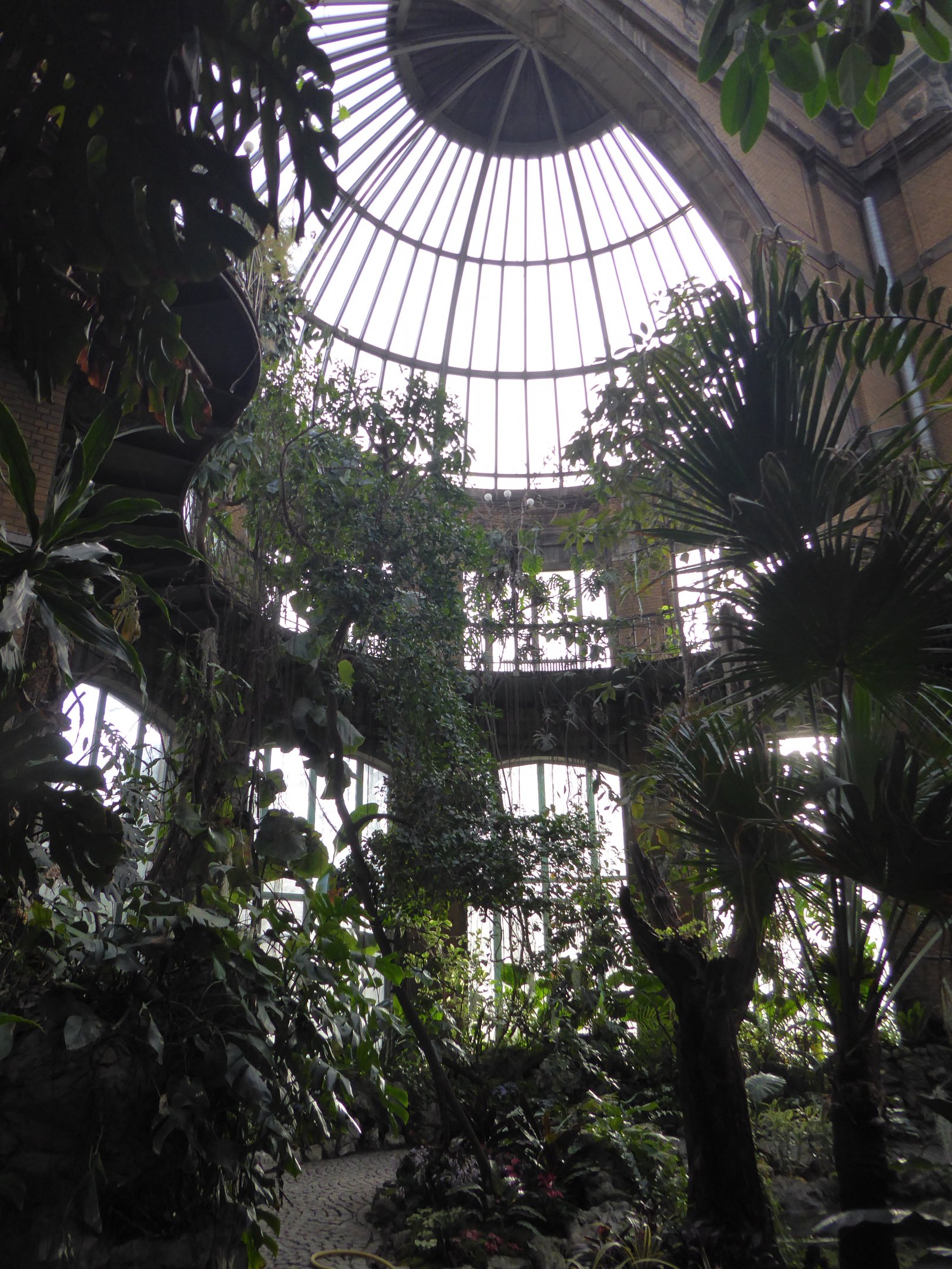 Interior of Butterfly House