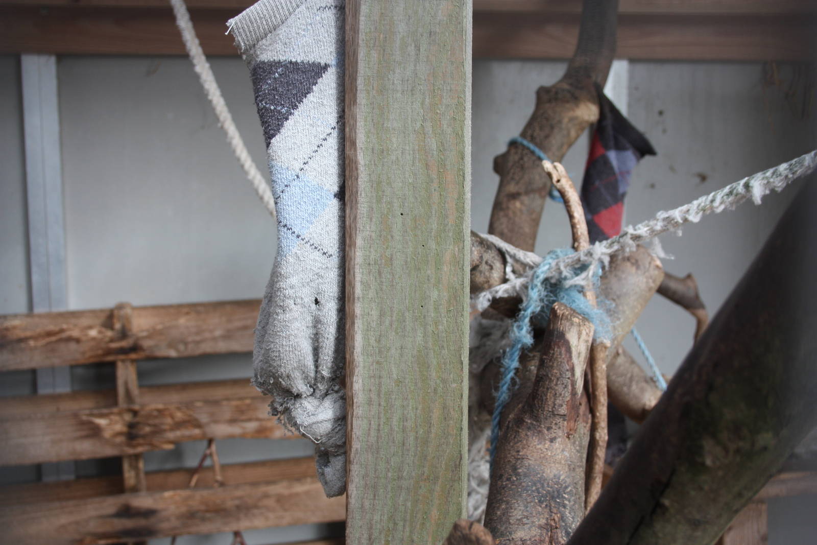 Interior of Chipmunk exhibit, 23rd September 2014