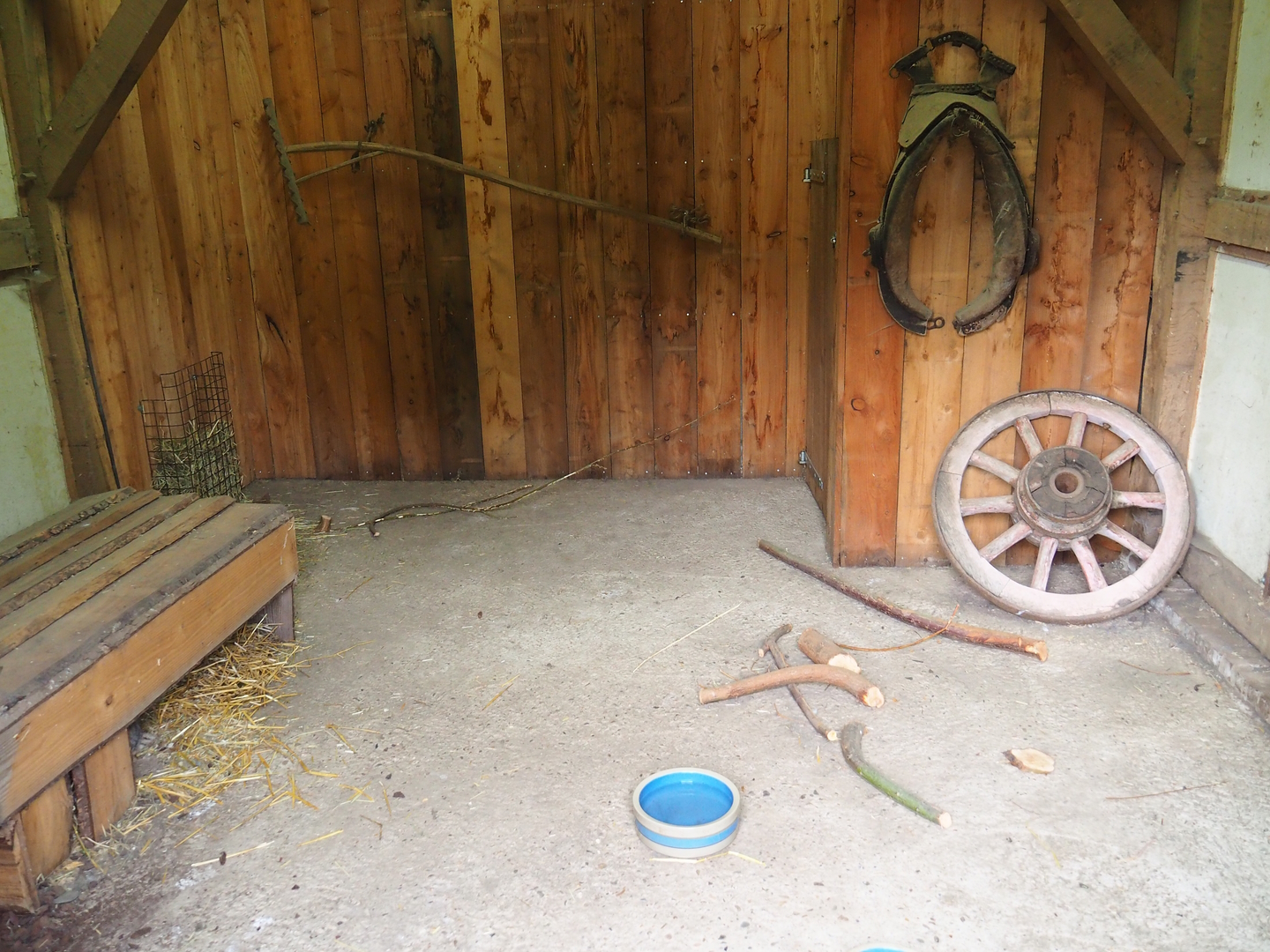 Interior of domestic rabbit barn, 2022-08-20