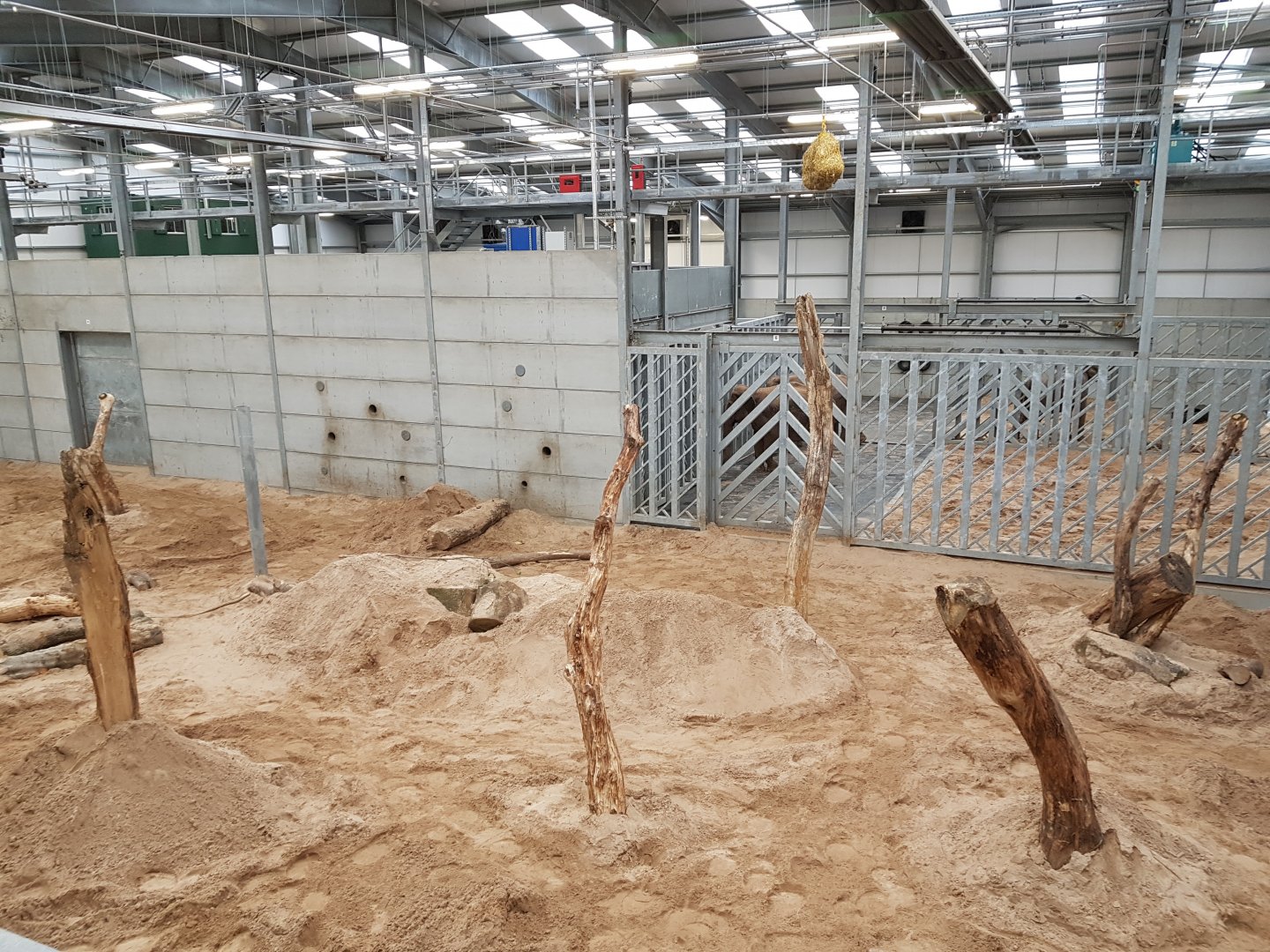 Interior of elephant house