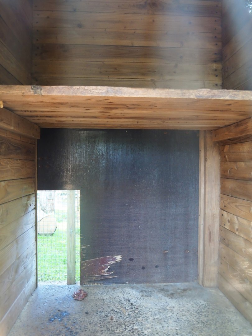 Interior of Eurasian lynx barn, 2023-06-24