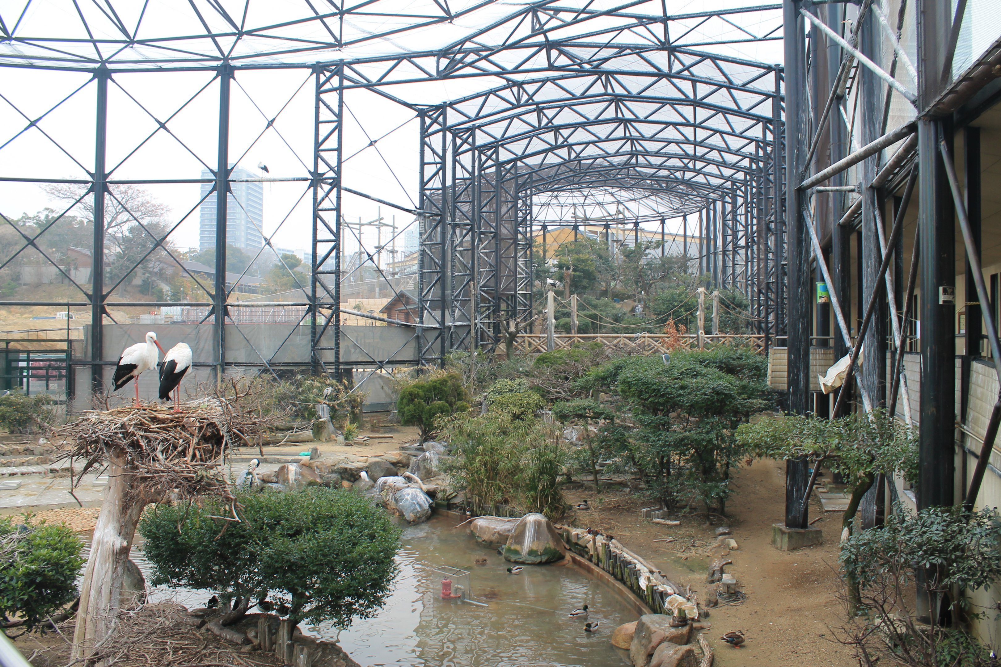 Interior of Flight Aviary