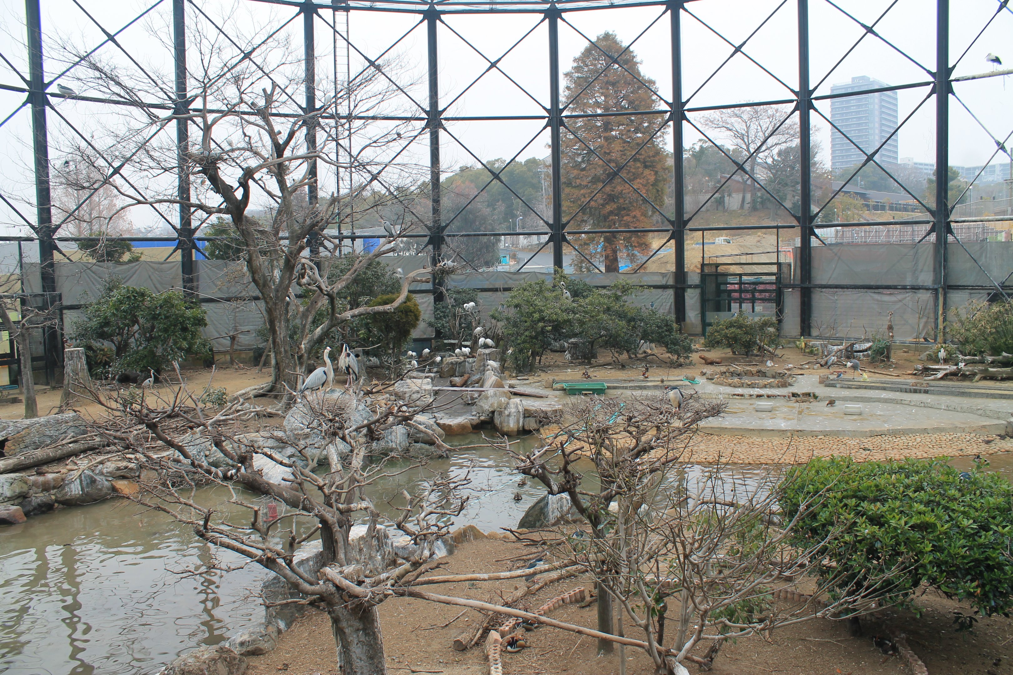 Interior of Flight Aviary